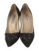 Jimmy Choo Suede Pumps