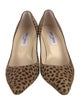 Jimmy Choo Ponyhair Animal Print Pumps