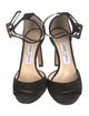 Jimmy Choo Suede Sandals