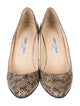 Jimmy Choo Leather Animal Print Pumps
