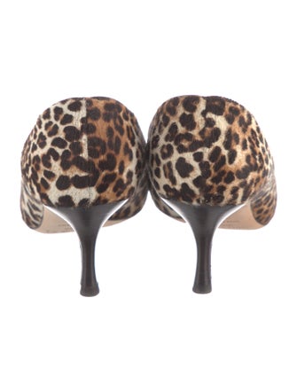 Jimmy Choo Ponyhair Animal Print Pumps