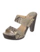 Jimmy Choo Embossed Leather Animal Print Slides