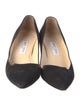 Jimmy Choo Suede Pumps