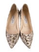 Jimmy Choo Snakeskin Animal Print Pumps