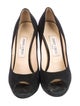 Jimmy Choo Suede Pumps