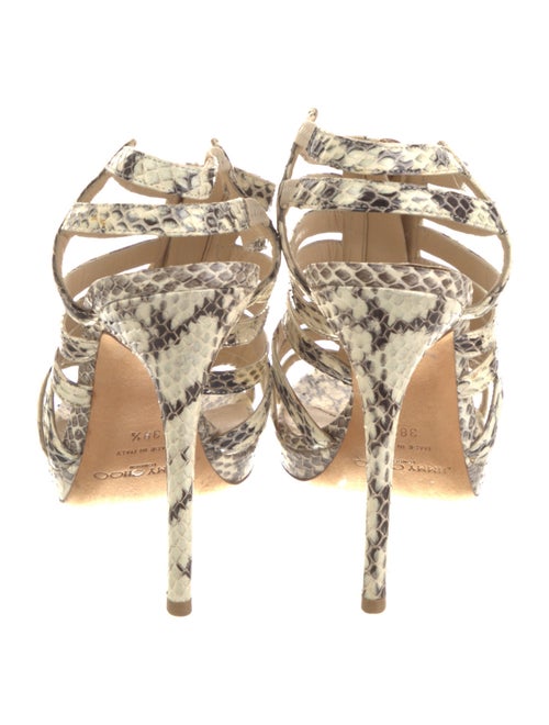 Jimmy Choo Snakeskin Animal Print Gladiator Sandals