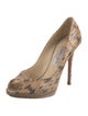 Jimmy Choo Embossed Leather Animal Print Pumps