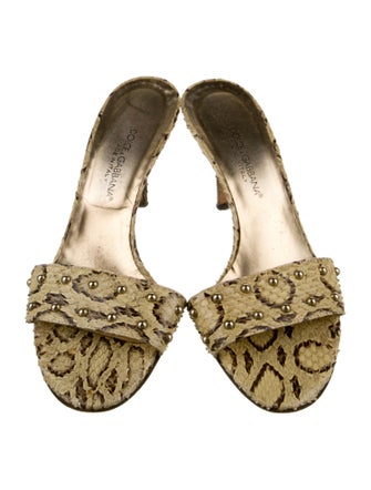 Dolce & Gabbana Snakeskin Animal Print Slides