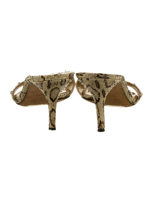 Dolce & Gabbana Snakeskin Animal Print Slides