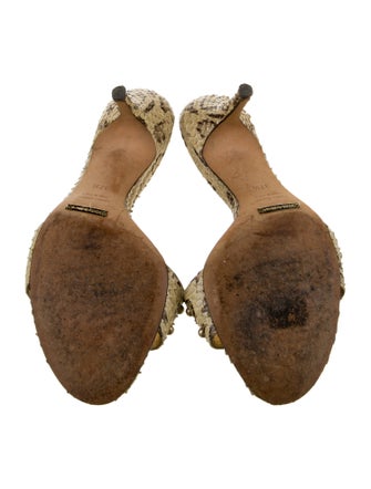 Dolce & Gabbana Snakeskin Animal Print Slides