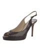 Jimmy Choo Snakeskin Animal Print Slingback Pumps
