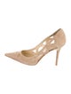 Jimmy Choo Suede Mesh Accents Pumps