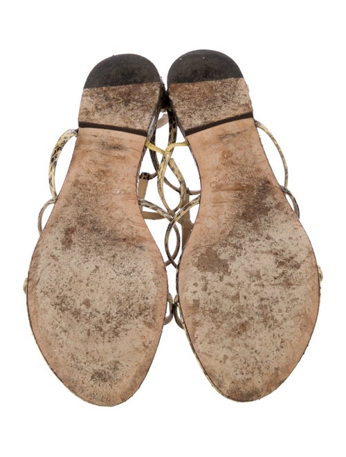 Jimmy Choo Snakeskin Animal Print Gladiator Sandals