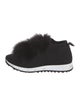 Jimmy Choo Fur Trim Sneakers