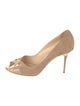 Jimmy Choo Suede Pumps