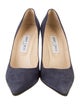 Jimmy Choo Suede Pumps