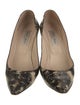 Jimmy Choo Leather Animal Print Pumps