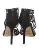 Jimmy Choo Suede Crystal Embellishments Pumps