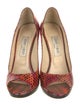 Jimmy Choo Snakeskin Animal Print Pumps