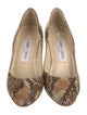 Jimmy Choo Snakeskin Animal Print Pumps