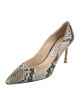 Jimmy Choo Leather Animal Print Pumps
