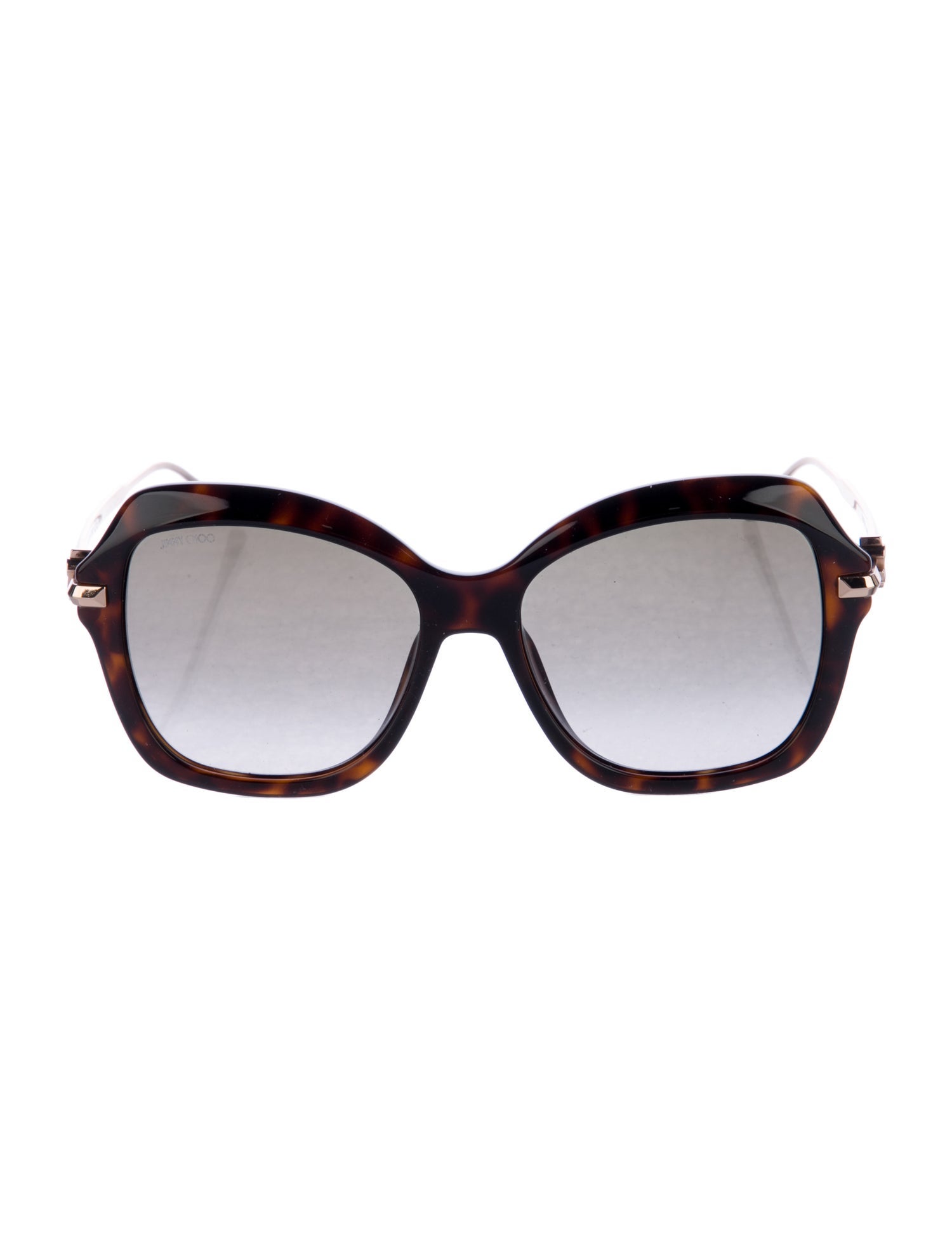 Jimmy Choo Oversize Tinted Sunglasses