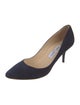Jimmy Choo Suede Pumps