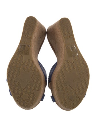 Jimmy Choo Animal Print Slides