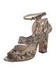 Jimmy Choo Snakeskin Animal Print Sandals
