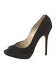 Jimmy Choo Suede Pumps