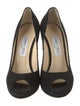 Jimmy Choo Suede Pumps
