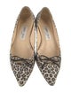 Jimmy Choo Ponyhair Animal Print Ballet Flats