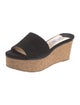 Jimmy Choo Suede Slides