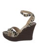 Jimmy Choo Canvas Animal Print Espadrilles