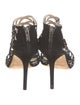 Jimmy Choo Suede Crystal Embellishments Sandals