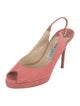 Jimmy Choo Suede Slingback Pumps