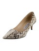 Jimmy Choo Snakeskin Animal Print Pumps