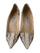 Jimmy Choo Snakeskin Animal Print Pumps