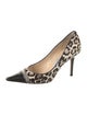 Jimmy Choo Ponyhair Animal Print Pumps