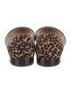 Jimmy Choo Ponyhair Animal Print Ballet Flats