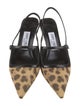 Jimmy Choo Ponyhair Animal Print Slingback Pumps