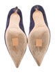 Jimmy Choo Suede Pumps