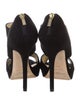 Jimmy Choo Suede Pumps
