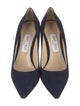 Jimmy Choo Suede Pumps