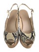 Jimmy Choo Snakeskin Animal Print Slingback Pumps