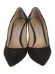 Jimmy Choo Suede Pumps