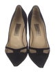 Jimmy Choo Suede Pumps