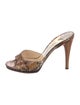 Jimmy Choo Python Animal Print Slides
