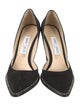 Jimmy Choo Suede Pumps