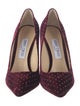 Jimmy Choo Velvet Crystal Embellishments Pumps